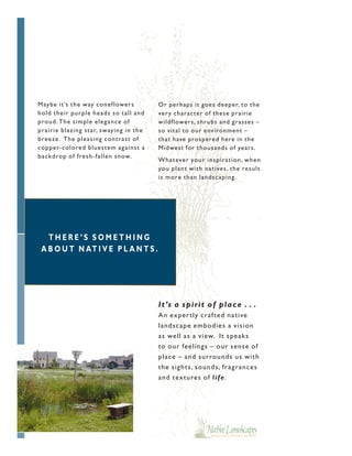 M ay be it ’s t h e w ay coneflowers      Or perhaps it goes deeper, to the
hold t heir purple heads so tall and      ver y character of these prairie
proud. The simple elegance of             wildflowers, shrubs and grasses –
pr air ie blazing star, sw aying in the   so vital to our environment –
breeze . The pleasing contrast of         that have prospered here in the
c opper- c olo red bluestem against a     Midwest for thousands of years.
bac kdrop of fresh-fallen snow.
                                          W h a teve r yo u r i n sp i r a ti o n , w h e n
                                          yo u p l a n t w i th n a ti ve s, th e re su l t
                                          i s m o re th a n l a n dsc ap i n g .




   THERE’S SOMETHING
 A B O U T N AT I V E P L A N T S .




                                          I t ’s a s p i r i t o f p l a c e . . .
                                          An exper t ly c raft ed nat ive
                                          landsc ape embodies a v ision
                                          as well as a v iew. It speaks
                                          t o our feelings – our sense of
                                          place – and surrounds us wit h
                                          t he sight s, sounds, fragranc es
                                          and t ext ures of l i f e .
 