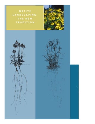 N AT I V E
LANDSCAPING:
   THE NEW
  TRADITION
 