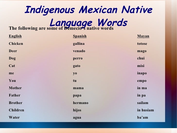 Native Dog Names Native Dog Names