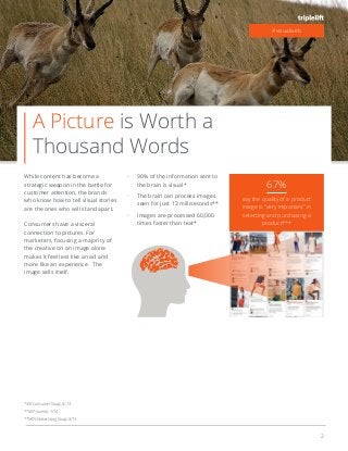 2
A Picture is Worth a
Thousand Words
While content has become a
strategic weapon in the battle for
customer attention, the brands
who know how to tell visual stories
are the ones who will stand apart.
Consumers have a visceral
connection to pictures. For
marketers, focusing a majority of
the creative on an image alone
makes it feel less like an ad and
more like an experience. The
image sells itself.
90% of the information sent to
the brain is visual*
The brain can process images
seen for just 13 milliseconds**
Images are processed 60,000
times faster than text*
#visualweb
67%
say the quality of a product
image is “very important” in
selecting and purchasing a
product***
*3M Consumer Study, 9/13
**MIT Journal, 1/14
**MDG Advertising Study, 8/13
 