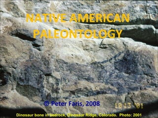 NATIVE AMERICAN PALEONTOLOGY © Peter Faris, 2008 Dinosaur bone in bedrock, Dinosaur Ridge, Colorado.  Photo: 2001 
