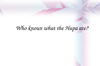 Who knows what the Hupa ate? 