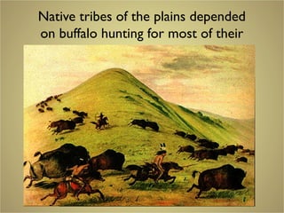 Native tribes of the plains depended
on buffalo hunting for most of their
needs
 