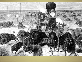 But others were hostile to Native Americans and
efforts were made to systematically kill off the
buffalo, the source of their livelihood.
 