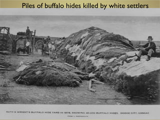 Piles of buffalo hides killed by white settlers
 
