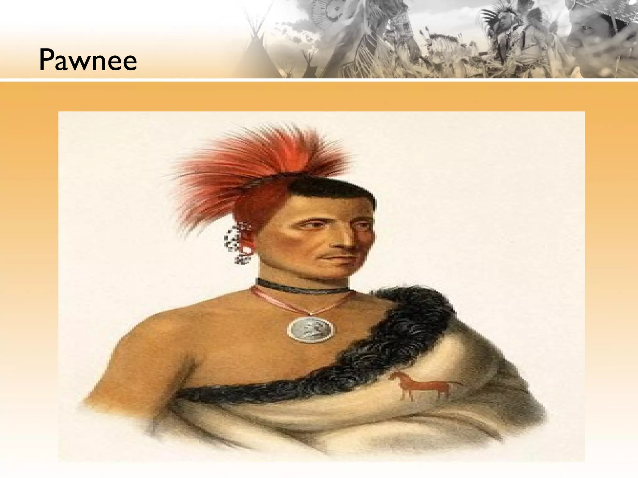Pawnee
 