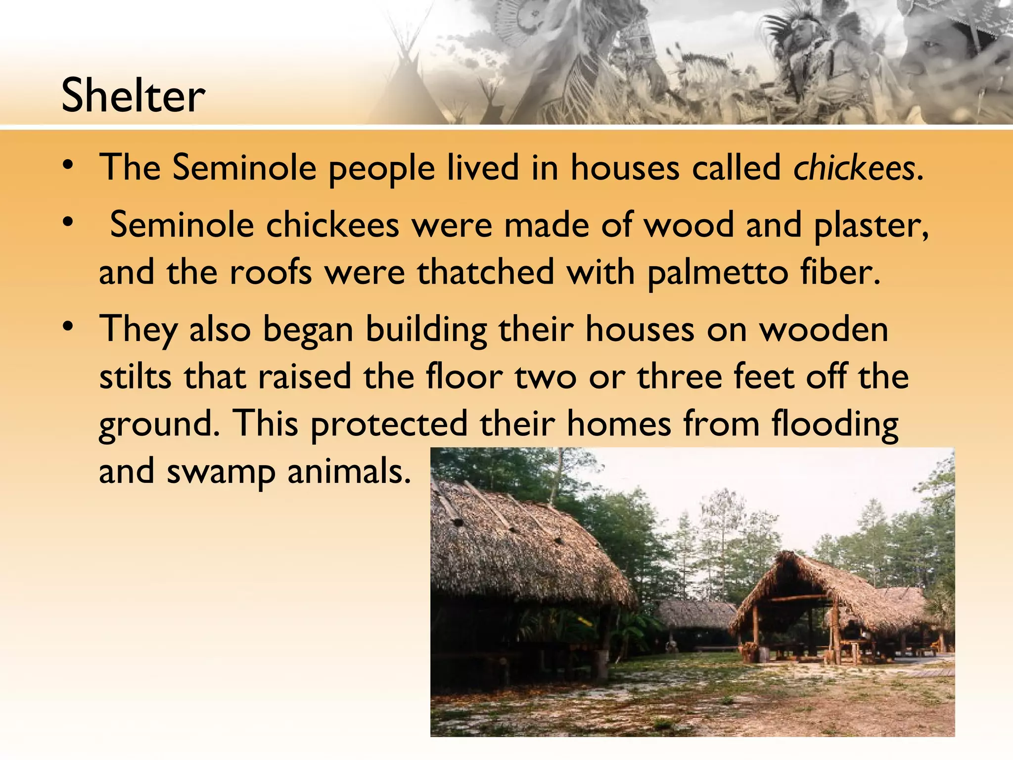 Shelter
• The Seminole people lived in houses called chickees.
• Seminole chickees were made of wood and plaster,
and the roofs were thatched with palmetto fiber.
• They also began building their houses on wooden
stilts that raised the floor two or three feet off the
ground. This protected their homes from flooding
and swamp animals.
 