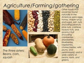 Agriculture/Farming/gathering 
Other foods that 
could be found 
naturally in the 
Americas were eggs, 
honey, maple syrup 
and sugar, salt, nuts 
(including peanuts, 
pine nuts, cashews, 
hickory nuts, and 
acorns,) fruit 
(including 
cranberries, 
strawberries, 
blueberries, 
raspberries, 
chokecherries, wild 
plums, and 
persimmons), and a 
wide variety of 
beans, roots, and 
greens. 
The three sisters: 
Beans, corn, 
squash 
 