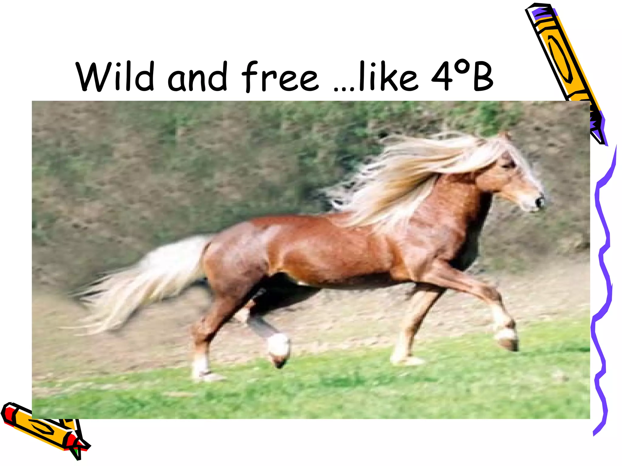 Wild and free …like 4ºB
 