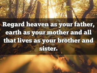 Native American Wisdom Quotes