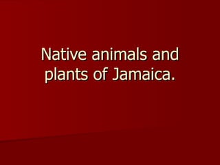 Native animals and plants of Jamaica. 