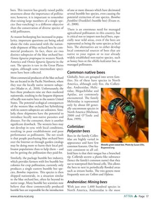 Alternative Pollinators: Native Bees | PDF