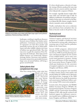 If a farm already grows a diversity of crops,
                                                                                      the timing of ﬂowers produced by non-crop
                                                                                      plants is less of a concern and the crops them-
                                                                                      selves help provide a sequence of bloom.
                                                                                      For example, vegetable farmers might allow
                                                                                      some salad, root and herb crops to bolt. In
                                                                                      addition to pollinators, the predators and para-
                                                                                      sitoids of many pests are attracted to the ﬂow-
                                                                                      ers of plants like dill, cilantro, arugula, chervil,
                                                                                      chicory, mustards, carrots and radishes.
                                                                                      Finally, avoid plants that serve as alternate
                                                                                      pest and disease hosts and plants that are
                                                                                      likely to become weeds in the primary crop.

Hedgerow and woodlots close to ﬁelds (within ﬂight range) support native pollinator   Technical and
populations. Photo by Scott Bauer, USDA-ARS.
                                                                                      f inancial assistance
                             landscapes, resulting in signiﬁcant distances            Technical support and ﬁnancial incentive
                             between areas of habitat that harbor native              programs are available to landowners who
                             pollinators. Continuous, permanent strips                are interested in setting aside, enhancing or
                             of vegetation can link these patches and                 restoring some of their land for pollinator
                             potentially increase the rate at which polli-            habitat in the United States.
                             nators and other wildlife colonize new areas             Several USDA programs administered
                             of habitat near agricultural ﬁelds. They also            through the Natural Resources Conserva-
                             may serve to grab the attention of bees ﬂy-
                                                                                      tion Service (NRCS) provide planning assis-
                             ing across the landscape. These long narrow
                                                                                      tance and ﬁnancial support for the creation
                             habitat features can aesthetically enhance
                             drainage ditches, fencerows and roadsides.               of new wildlife habitat, and in some cases
                             Increased connectivity, particularly between             actual rental payments to growers. Among
                             larger areas of natural habitat, will bring a            the most well known of these programs is
                             greater overall beneﬁt.                                  the Conservation Reserve Program (CRP),
                                                                                      which pays landowners for the conversion
                                                                                      of marginal cropland to a less intensive use
                             Select plants that
                                                                                      (Vaughan and Skinner, 2009).
                             complement the crop
                             Most bees emerge before crops come into                  Historically these programs were intended
                                                  bloom and many                      to reduce erosion, protect water quality and
                                                  bee species are still               provide habitat for wildlife such as pheasants
                                                  active after ward                   and whitetail deer. Language in the 2008
                                                  the crop bloom                      Farm Bill, however, has made the promotion
                                                  period. Therefore,                  and conservation of pollinator habitat a pri-
                                                  plenty of forage                    ority among USDA conservation programs.
                                                  should be available
                                                  before and after                    In many states, three programs, the Wildlife
                                                  a particular crop                   Habitat Incentives Program (WHIP), the
                                                  comes into bloom.                   Environmental Quality Incentives Program
                                                  This timing will                    (EQIP) and the Conservation Stewardship
                                                  attract bees and                    Program (CSP), oﬀer speciﬁc technical and
                                                  ensure that they                    ﬁ nancial support for pollinator conserva-
Insectary plants used within ﬁeld as crop row-end
markers. Photo by Matthew Shepherd, The Xerces    can successfully                    tion (usually native wildﬂower plantings) on
Society.                                          raise many young.                   farms (Vaughan and Skinner, 2009).
Page 10        ATTRA                                                                             Alternative Pollinators: Native Bees
 