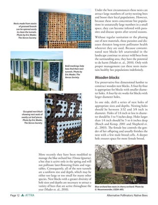 Under the best circumstances these nests can
                                                                                attract large numbers of cavity-nesting bees
                                                                                and boost their local populations. However,
                                                                                because these nests concentrate bee popula-
  Nests made from stacks
                                                                                tions in unnaturally large numbers in a small
       of grooved boards
    can be opened easily                                                        space, they can become infested with para-
     to clean the tunnels.                                                      sites and disease spores after several seasons.
    Photo by Eric Mader,
      The Xerces Society.                                                       Without regular sanitation or the phasing
                                                                                out of nest materials, these parasites and dis-
                                                                                eases threaten long-term pollinator health
                                                                                wherever they are used. Because contami-
                                                                                nated nest blocks left unattended in the
                                                                                landscape continue to attract wild bees from
                                                                                the surrounding area, they have the potential
                                                                                to do harm (Mader et. al., 2010). Only with
                                                     Bold markings help         proper management can these nests main-
                                                     bees ﬁnd their nest        tain healthy bee populations indeﬁnitely.
                                                     tunnels. Photo by
                                                     Eric Mader, The
                                                     Xerces Society.            Wooden blocks
                                                                                Use preservative-free dimensional lumber to
                                                                                construct wooden nest blocks. A four-by-four
                                                                                is appropriate for blocks with smaller diame-
                                                                                ter holes. A four-by-six works for blocks with
                                                                                larger diameter holes.
                                                                                In one side, drill a series of nest holes of
                                                                                appropriate sizes and depths. Nesting holes
                                                                                should be between 3⁄32 and 3⁄8 inch in
           Occupied nest block
          showing nest seals of                                                 diameter. Holes of 1⁄4 inch or less in diame-
          neatly cut leaf pieces.                                               ter should be 3 to 5 inches deep. Holes larger
           Photo by Eric Mader,                                                 than 1⁄4 inch should be 5 to 6 inches deep
            The Xerces Society.
                                                                                (Bosch and Kemp, 2001 and Shepherd et.
                                                                                al., 2003). The female bee controls the gen-
                                                                                der of her oﬀspring and usually ﬁnishes the
                                                                                nest with a few male brood cells. A deeper
                                                                                hole ensures space for more female brood.




                             More recently they have been modiﬁed to
                             manage the blue orchard bee (Osmia lignaria),
                             a bee that is active only in the spring and will
                             not pollinate later-ﬂowering fruits and vege-
                             tables. Consequently, all of the nest tunnels
                             are a uniform size and depth, which may be
                             either too large or too small for many other
                             species. Nest blocks with a greater diversity of
                             hole sizes and depths are necessary to attract a
                             variety of bees that are active throughout the     Blue orchard bee nests in cherry orchard. Photo by
                             year (Mader et. al., 2010).                        G. Neuenswonder, USDA-ARS.

Page 12       ATTRA                                                                         Alternative Pollinators: Native Bees
 