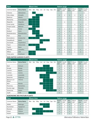 Plant                             Bloom time                              Native range
                                                                          North-   South- Mid-   Moun-   North-   South-
Common Name      Genus Name       Mar   Apr   May   Jun Jul Aug Sep Oct
                                                                          east     east   west   tain    west     west
Chamise          Adenostoma                                                                                       x
False indigo     Amorpha                                                    x        x      x      x        x         x
Madrone          Arbutus                                                                                    x         x
Manzanita        Arctostaphylos                                                                             x         x
Magnolia         Magnolia                                                            x
Ocean spray      Holodiscus                                                                        x        x         x
Oregon grape     Mahonia                                                                                    x
Plum             Prunus                                                     x        x      x      x        x         x
Redbud           Cercis                                                     x        x      x               x         x
Rhododendron     Rhododendron                                               x        x                      x
Rose             Rosa                                                       x        x      x      x        x         x
Serviceberry     Amelanchier                                                x        x      x      x        x         x
Steeplebush      Spirea                                                     x               x      x        x         x
Sourwood         Oxydendrum                                                          x
Toyon            Heteromeles                                                                                          x
Tupelo           Nyssa                                                               x
Wild lilac       Ceanothus                                                  x        x      x      x        x         x
Willow           Salix                                                      x        x      x      x        x         x
Yerba santa      Eriodictyon                                                                                          x

NON-NATIVE GARDEN PLANTS
Plant                   Bloom time                                        Native range
Common Name      Genus Name       Mar   Apr   May   Jun Jul Aug Sep Oct North-     South- Mid-   Moun-   North-   South-
                                                                        east       east   west   tain    west     west
Basil            Ocimum                                                     x        x      x      x        x         x
Borage           Borago                                                     x        x      x      x        x         x
Catmint          Nepeta                                                     x        x      x      x        x         x
Cosmos           Cosmos                                                     x        x      x      x        x         x
Lavender         Lavandula                                                           x      x               x         x
Marjoram         Origanum                                                   x        x      x      x        x         x
Mexican sun-     Tithonia                                                   x        x      x      x        x         x
ﬂower
Mint             Mentha                                                     x        x      x      x        x         x
Rosemary         Rosmarinus                                                          x                                x
Russian sage     Perovskia                                                  x        x      x      x        x         x
Stonecrop        Sedum                                                      x        x      x      x        x         x
Squill           Scilla                                                     x               x

AGRONOMIC BEE PASTURE PLANTS
Plant                   Bloom time                                        Native range
                                                                          North-   South- Mid-   Moun-   North-   South-
Common Name      Genus Name       Mar   Apr   May   Jun Jul Aug Sep Oct
                                                                          east     east   west   tain    west     west
Alfalfa          Medicago                                                   x        x      x      x        x         x
Buckwheat        Fagopyrum                                                  x        x      x      x        x         x
Mustard          Brassica                                                   x        x      x      x        x         x
Clover           Trifolum                                                   x        x      x      x        x         x
Radish           Raphanus                                                   x        x      x      x        x         x

Page 22        ATTRA                                                                 Alternative Pollinators: Native Bees
 
