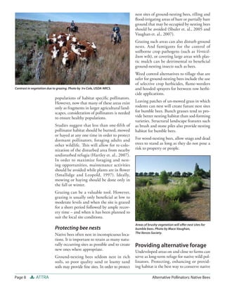 nest sites of ground-nesting bees, tilling and
                                                                               ﬂood-irrigating areas of bare or partially bare
                                                                               ground that may be occupied by nesting bees
                                                                               should be avoided (Shuler et. al., 2005 and
                                                                               Vaughan et. al., 2007).
                                                                               Grazing such areas can also disturb ground
                                                                               nests. And fumigants for the control of
                                                                               soilborne crop pathogens (such as Verticil-
                                                                               lium wilt), or covering large areas with plas-
                                                                               tic mulch can be detrimental to beneﬁcial
                                                                               ground-nesting insects such as bees.
                                                                               Weed control alternatives to tillage that are
                                                                               safer for ground-nesting bees include the use
                                                                               of selective crop herbicides, ﬂame-weeders
Contrast in vegetation due to grazing. Photo by Irv Cole, USDA-NRCS.           and hooded sprayers for between row herbi-
                                                                               cide applications.
                            populations of habitat speciﬁc pollinators.
                            However, now that many of these areas exist        Leaving patches of un-mowed grass in which
                            only as fragments in larger agricultural land-     rodents can nest will create future nest sites
                            scapes, consideration of pollinators is needed     for bumble bees. Bunch grasses tend to pro-
                            to ensure healthy populations.                     vide better nesting habitat than sod-forming
                                                                               varieties. Structural landscape features such
                            Studies suggest that less than one-ﬁ fth of        as brush and stone piles also provide nesting
                            pollinator habitat should be burned, mowed         habitat for bumble bees.
                            or hayed at any one time in order to protect
                            dormant pollinators, foraging adults and           For wood-nesting bees, allow snags and dead
                            other wildlife. Th is will allow for re-colo-      trees to stand as long as they do not pose a
                            nization of the disturbed area from nearby         risk to property or people.
                            undisturbed refugia (Hartley et. al., 2007).
                            In order to maximize foraging and nest-
                            ing opportunities, maintenance activities
                            should be avoided while plants are in ﬂower
                            (Smallidge and Leopold, 1997). Ideally,
                            mowing or haying should be done only in
                            the fall or winter.
                            Grazing can be a valuable tool. However,
                            grazing is usually only beneﬁcial at low to
                            moderate levels and when the site is grazed
                            for a short period followed by ample recov-
                            ery time – and when it has been planned to
                            suit the local site conditions.
                                                                               Areas of brushy vegetation will oﬀer nest sites for
                            Protecting bee nests                               bumble bees. Photo by Mace Vaughan,
                                                                               The Xerces Society.
                            Native bees often nest in inconspicuous loca-
                            tions. It is important to retain as many natu-
                            rally occurring sites as possible and to create    Providing alternative forage
                            new ones where appropriate.
                                                                               Undeveloped areas on and close to farms can
                            Ground-nesting bees seldom nest in rich            serve as long-term refuge for native wild pol-
                            soils, so poor quality sand or loamy sand          linators. Protecting, enhancing or provid-
                            soils may provide ﬁne sites. In order to protect   ing habitat is the best way to conserve native

Page 8         ATTRA                                                                       Alternative Pollinators: Native Bees
 