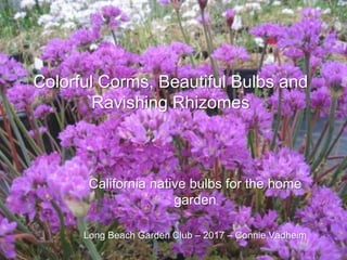 Colorful Corms, Beautiful Bulbs and
Ravishing Rhizomes
California native bulbs for the home
garden
Long Beach Garden Club – 2017 – Connie Vadheim
© Project SOUND
 