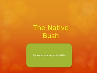 The Native
Bush
By Kelle, Manav and Nikita
 