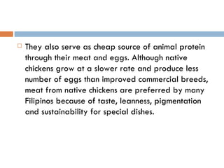 They also serve as cheap source of animal protein through their meat and eggs. Although native chickens grow at a slower rate and produce less number of eggs than improved commercial breeds, meat from native chickens are preferred by many Filipinos because of taste, leanness, pigmentation and sustainability for special dishes. 