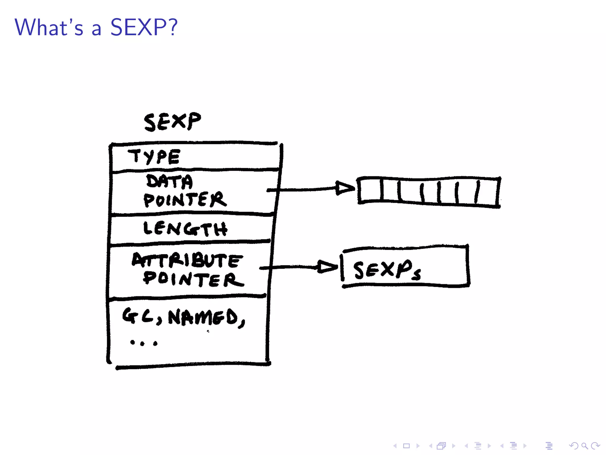 What’s a SEXP?
 
