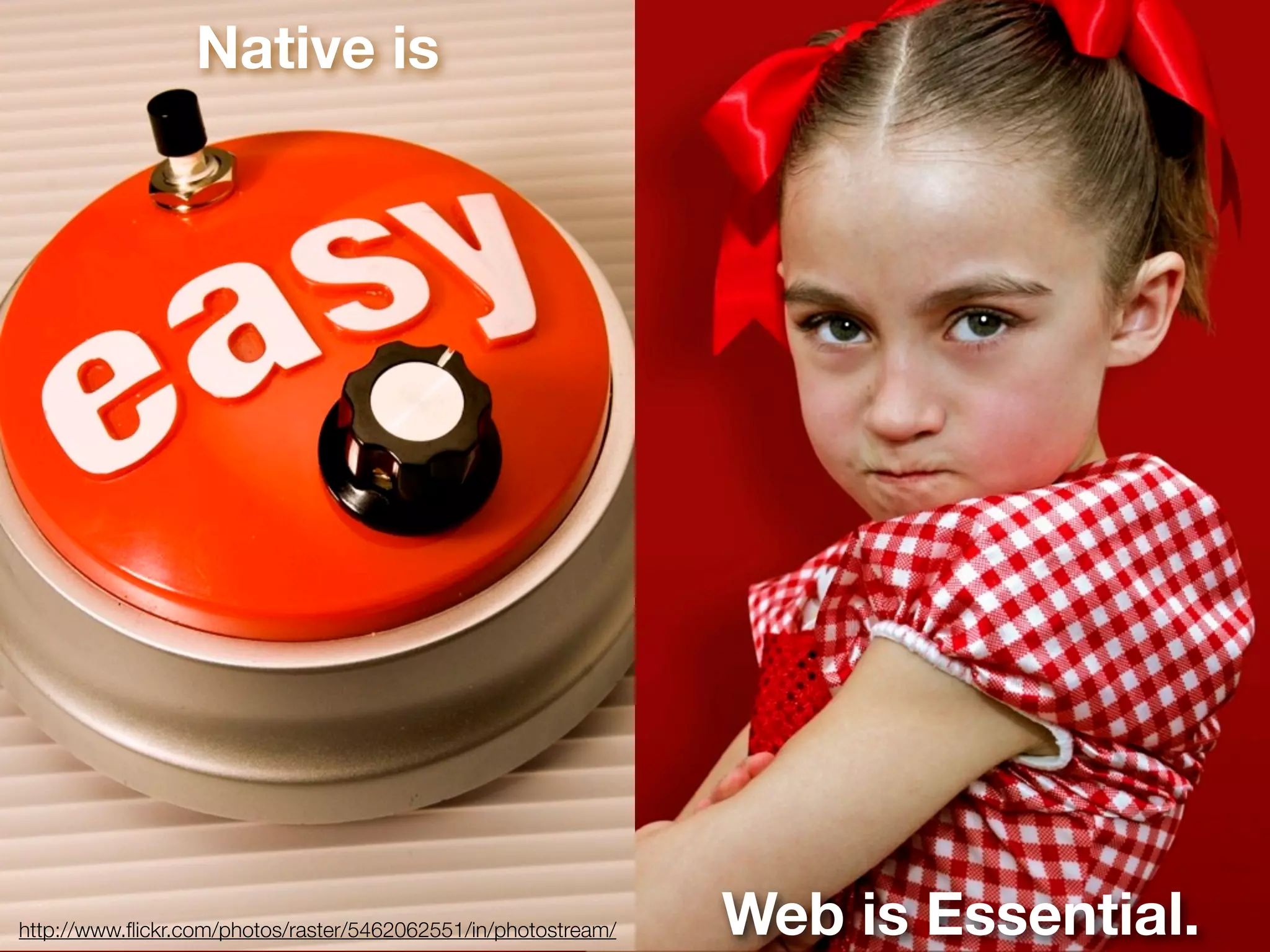 Native is
                         Native is




http://www.ﬂickr.com/photos/raster/5462062551/in/photostream/   Web is Essential.
 