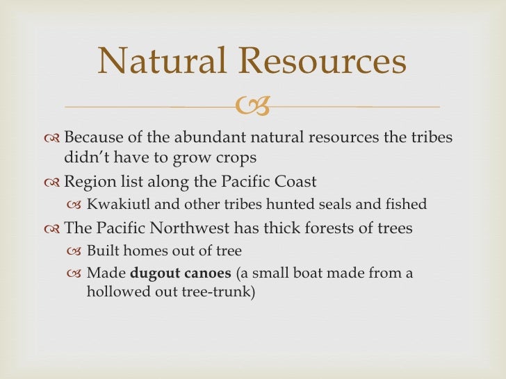 What are North America's natural resources?