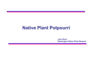 Native Plant Potpourri
John Neorr
Washington Native Plant Steward

 