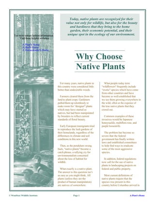 Today, native plants are recognized for their
                                                  value not only for wildlife, but also for the beauty
                                                     and hardiness that they bring to the home
                                                     garden, their economic potential, and their
     For more nature habitat information           unique spot in the ecology of our environment.
         Visit these helpful websites:

             A Plant's Home
             A Bird's Home
             A Homesteader's Home

                                                            Why Choose
                                                            Native Plants
                                             For many years, native plants in      What people today term
                                           this country were considered little   “wildflowers" frequently include
                                           better than undesirable weeds.        “exotic" species which have come
                                                                                 from other countries and have
                                             Farmers cleared them from the       become so well-established that
                                           land to plant crops. Gardeners        we see them growing everywhere in
                                           pulled them up relentlessly to        the wild, often at the expense of
                                           make room for “designer" plants       the true native plants that they
                                           which may have started as             crowd out.
                                           natives, but had been manipulated
                                           by breeders to reflect current          Common examples of these
                                           standards of floral beauty.           invasives would be Japanese
                                                                                 honeysuckle, multiflora rose, and
                                             Early European immigrants tried     purple loosestrife.
                                           to reproduce the lush gardens of
                                           their homelands, regardless of the      The problem has become so
                                           differences in climate and soil       severe that the federal
                                           conditions in this new world.         government has finally written
                                                                                 laws and established committees
                                             Then, as the pendulum swung         to help find ways to eradicate
                                           back, “native plants" became a        some of the most aggressive
                                           catch phrase, a rallying cry for      species.
                                           environmentalists concerned
                                           about the loss of habitat for           In addition, federal regulations
                                           wildlife.                             now call for the use of native
                                                                                 plants in landscaping projects on
                                             What exactly is a native plant.     federal and public property.
                                           The answer to this question isn’t
                                           as easy as you might think. All         Most current definitions of
                                           plants (unless they are the           native plants require that the
                                           product of human manipulation)        species was present in this
                                           are natives of somewhere.             country before Columbus arrived in


© WindStar Wildlife Institute                             Page 1                                            A Plant's Home
 