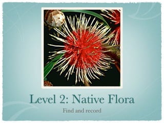 Level 2: Native Flora
      Find and record
 