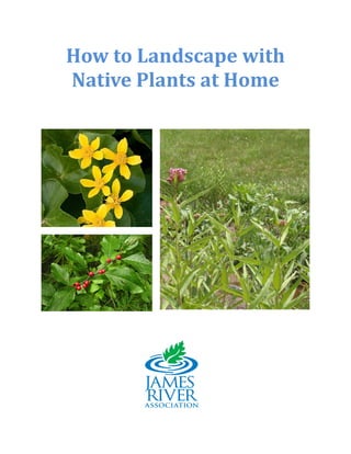How to Landscape with
Native Plants at Home
 