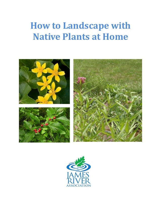 How To Landscape With Native Plants At Home - James River Association… How to Landscape withNative Plants at Home ... - How To Landscape With Native Plants At Home - James River Association…