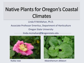 Linda R McMahan, Ph.D.
Associate Professor Emeritus, Department of Horticulture
Oregon State University
linda.mcmahan@oregonstate.edu
Nutka rose Maianthemum dilitatum
 