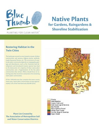 Native Plants
                                                         for Gardens, Raingardens &
                                                           Shoreline Stabilization



Restoring Habitat in the
Twin Cities
The landscape around us once hosted a mosaic of plant
communities: oak savanna, tallgrass prairie, wetlands,
maple-basswood forests, etc. The occurrence of a par-
ticular plant community depends on topography, geol-
ogy and disturbances, such as ﬁre. Extensive land de-
velopment and introduced invasive species have lead
to the destruction of a majority of these native plant
communities and a fragmentation of the few plant
communities that remain. Eﬀorts should focus on re-
storing areas that reconnect and protect the remaining
native plant communities.

Of the 1,903,640 acres that comprise the seven county
metro area, native plant communities occupy approxi-
mately 3.5% of the total land area (66,400 acres).




       Plant List Created by
The Association of Metropolitan Soil
 and Water Conservation Districts
 