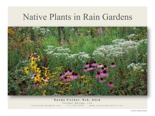 Native Plants in Rain Gardens Ronda Fischer, RLA, ASLA Fischer Design, LLC fischerdesign@tds.net      317.910.8164     www.fischerdesignllc.com © 2011, Ronda Fischer 