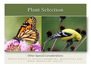 Plant Selection,[object Object],Other Special Considerations,[object Object],Select Plants to Attract Songbirds, Butterflies and Other Beneficial Insects,[object Object]