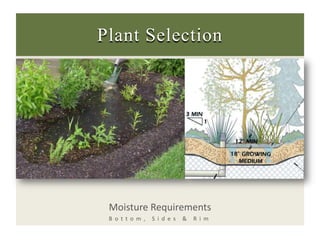 Plant Selection<br />Moisture Requirements<br />Bottom, Sides & Rim<br />