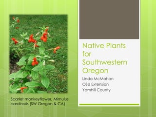 Native Plants
                                for
                                Southwestern
                                Oregon
                                Linda McMahan
                                OSU Extension
                                Yamhill County

Scarlet monkeyflower, Mimulus
cardinalis (SW Oregon & CA)
 