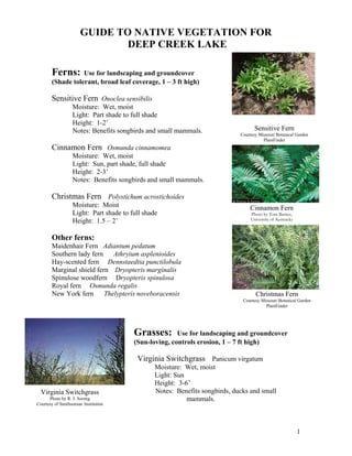 GUIDE TO NATIVE VEGETATION FOR
                              DEEP CREEK LAKE

       Ferns:     Use for landscaping and groundcover
       (Shade tolerant, broad leaf coverage, 1 – 3 ft high)

       Sensitive Fern Onoclea sensibilis
                  Moisture: Wet, moist
                  Light: Part shade to full shade
                  Height: 1-2’
                  Notes: Benefits songbirds and small mammals.                      Sensitive Fern
                                                                             Courtesy Missouri Botanical Garden
                                                                                        PlantFinder
       Cinnamon Fern Osmunda cinnamomea
                  Moisture: Wet, moist
                  Light: Sun, part shade, full shade
                  Height: 2-3’
                  Notes: Benefits songbirds and small mammals.

       Christmas Fern Polystichum acrostichoides
                  Moisture: Moist                                                Cinnamon Fern
                  Light: Part shade to full shade                                 Photo by Tom Barnes,
                  Height: 1.5 – 2’                                                University of Kentucky



       Other ferns:
       Maidenhair Fern Adiantum pedatum
       Southern lady fern Athryium asplenioides
       Hay-scented fern Dennstaedtia punctilobula
       Marginal shield fern Dryopteris marginalis
       Spinulose woodfern Dryopteris spinulosa
       Royal fern Osmunda regalis
       New York fern      Thelypteris noveboracensis                                Christmas Fern
                                                                              Courtesy Missouri Botanical Garden
                                                                                         PlantFinder




                                        Grasses:       Use for landscaping and groundcover
                                        (Sun-loving, controls erosion, 1 – 7 ft high)

                                         Virginia Switchgrass Panicum virgatum
                                                Moisture: Wet, moist
                                                Light: Sun
                                                Height: 3-6’
  Virginia Switchgrass                          Notes: Benefits songbirds, ducks and small
      Photo by R. J. Soreng                                mammals.
Courtesy of Smithsonian Institution




                                                                                                           1
 