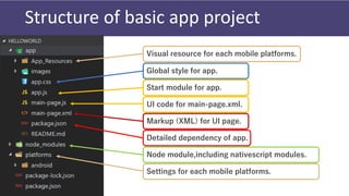 Structure of basic app project
Global style for app.
Start module for app.
UI code for main-page.xml.
Markup (XML) for UI page.
Detailed dependency of app.
Node module,including nativescript modules.
Settings for each mobile platforms.
Visual resource for each mobile platforms.
 