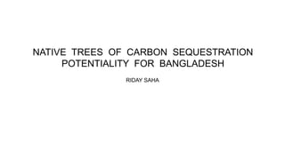 RIDAY SAHA
NATIVE TREES OF CARBON SEQUESTRATION
POTENTIALITY FOR BANGLADESH
 