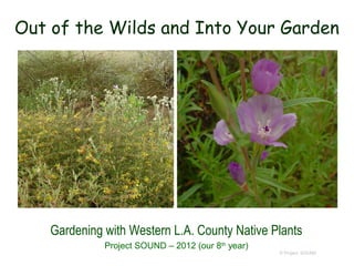 Out of the Wilds and Into Your Garden




    Gardening with Western L.A. County Native Plants
              Project SOUND – 2012 (our 8th year)
                                                    © Project SOUND
 