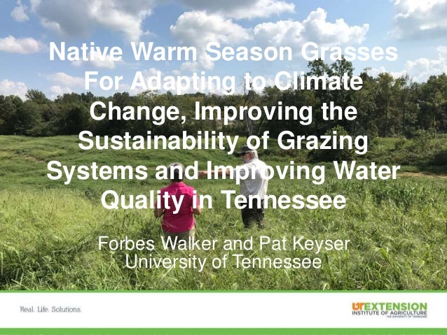Native Warm Season Grasses For Adapting To Climate Change