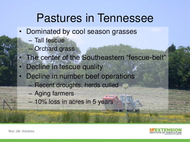 Native Warm Season Grasses For Adapting To Climate Change