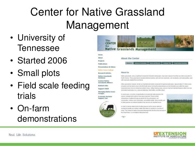 Native Warm Season Grasses For Adapting To Climate Change