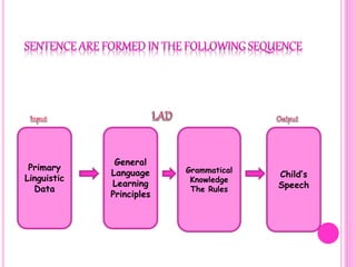 Primary
Linguistic
Data
Child’s
Speech
Grammatical
Knowledge
The Rules
General
Language
Learning
Principles
 