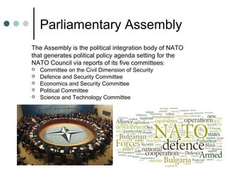 Parliamentary Assembly
The Assembly is the political integration body of NATO
that generates political policy agenda setting for the
NATO Council via reports of its five committees:






Committee on the Civil Dimension of Security
Defence and Security Committee
Economics and Security Committee
Political Committee
Science and Technology Committee

 