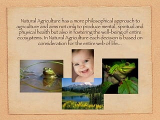 Natural Agriculture has a more philosophical approach to agriculture and aims not only to produce mental, spiritual and physical health but also in fostering the well-being of entire ecosystems. In Natural Agriculture each decision is based on consideration for the entire web of life... 