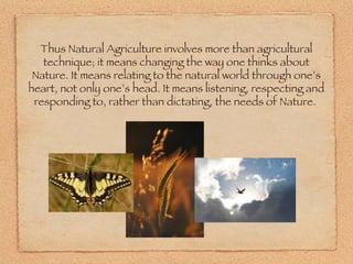 Thus Natural Agriculture involves more than agricultural technique; it means changing the way one thinks about Nature. It means relating to the natural world through one’s heart, not only one’s head. It means listening, respecting and responding to, rather than dictating, the needs of Nature.  