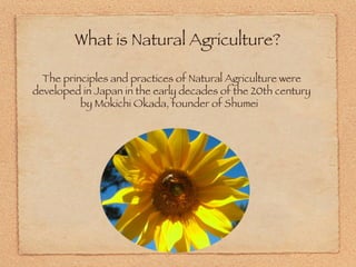 What is Natural Agriculture? The principles and practices of Natural Agriculture were developed in Japan in the early decades of the 20th century by Mokichi Okada, founder of Shumei  