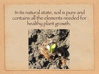 In its natural state, soil is pure and contains all the elements needed for healthy plant growth.  